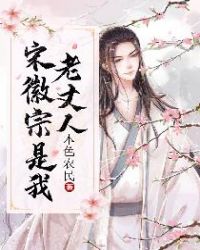 宋徽宗是我老丈人章节列表