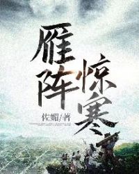 雁阵惊寒章节列表